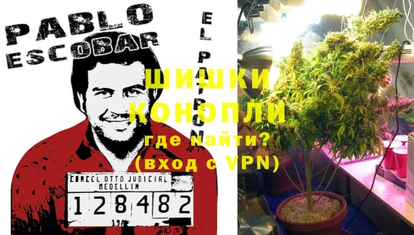 гидропоника Абаза