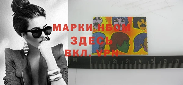 дурь Няндома