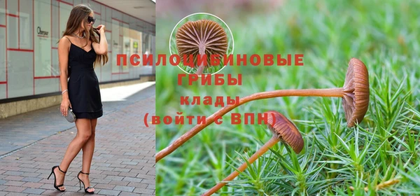 гидропоника Абаза