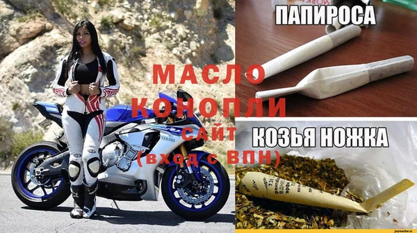 дурь Няндома