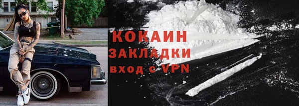 дурь Няндома