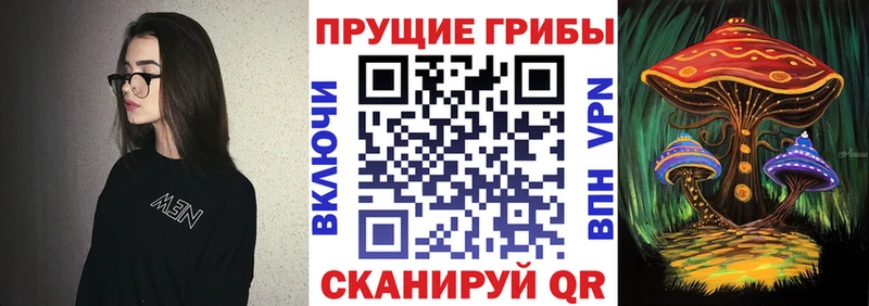 KRAKEN tor  Шиханы  Галлюциногенные грибы Psilocybine cubensis  купить наркотик 