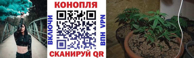 Марихуана SATIVA & INDICA  blacksprut ТОР  Шиханы 